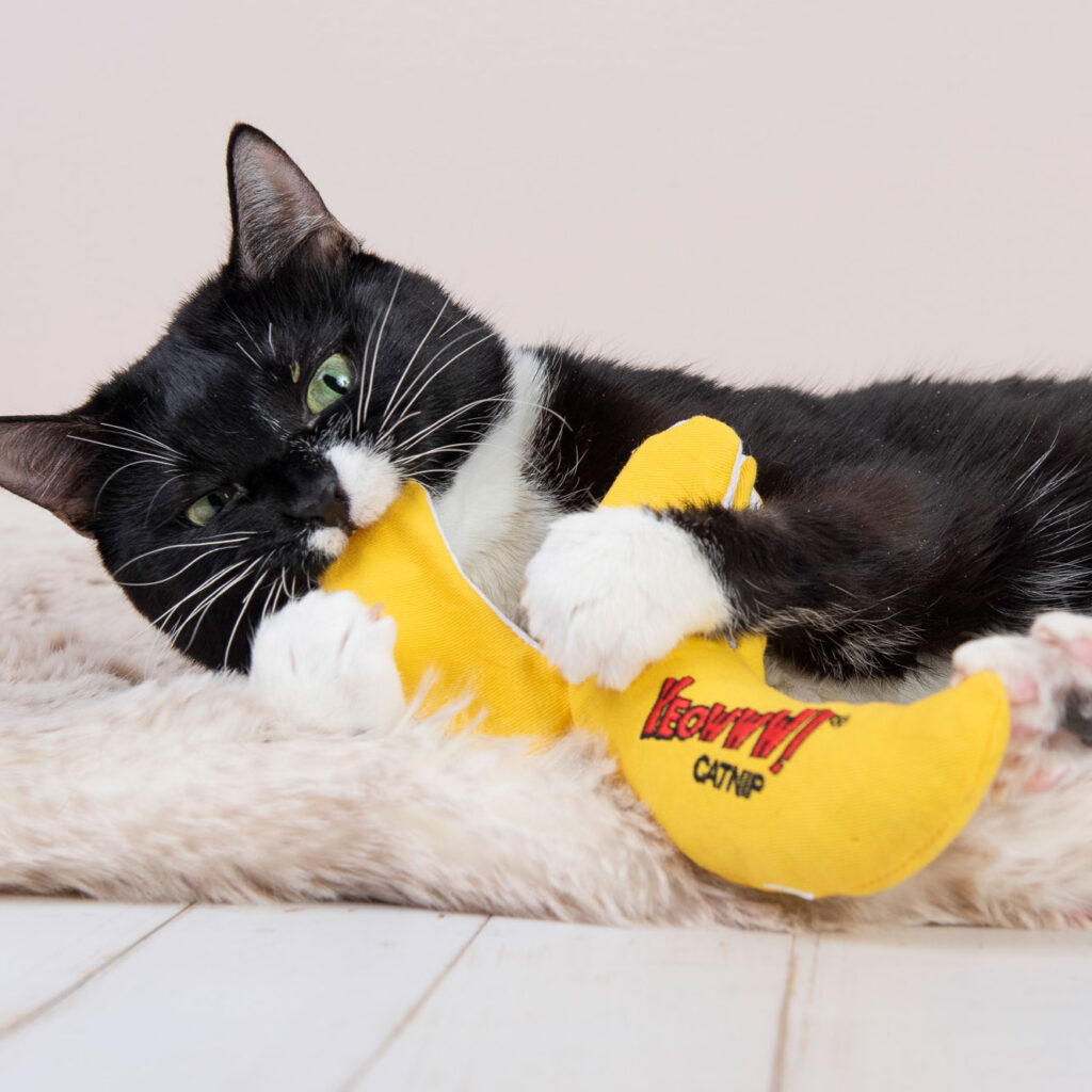 Yeowww! Chicata Banana Peeled - Speelgoed gevuld met Catnip - afbeelding 3