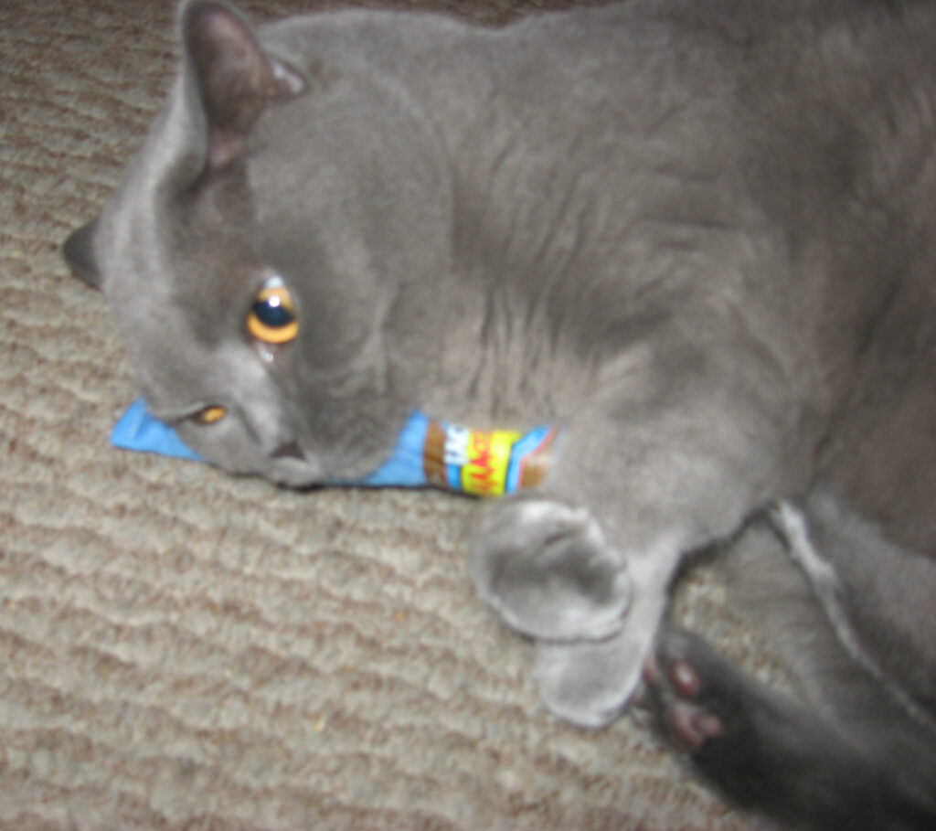 Yeowww! Cigar Blauw - Kattenspeelgoed gevuld met krachtige Catnip - afbeelding 2