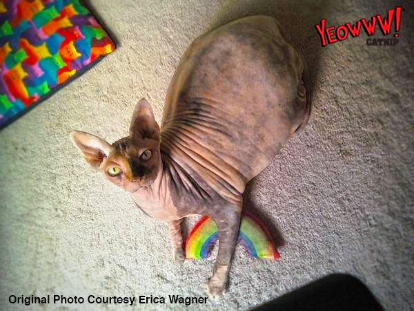 Yeowww! Rainbow Kattenspeelgoed met Catnip 17.7 cm - afbeelding 3