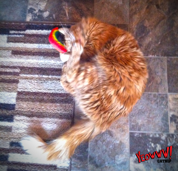 Yeowww! Rainbow Kattenspeelgoed met Catnip 17.7 cm - afbeelding 2
