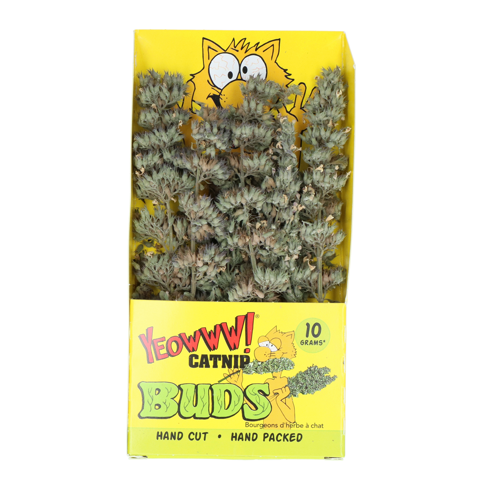 Yeowww! Catnip Buds - 10 g takjes Catnip in hersluitbaar zakje