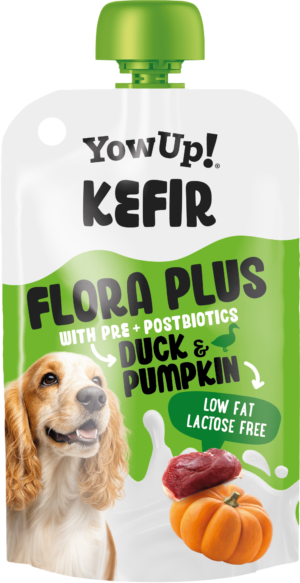 Yowup! Kefir Eend & Pompoen voor Honden - Functionele Snack