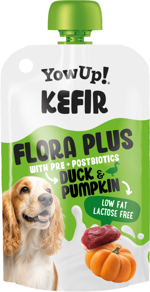 Yowup! Kefir Eend & Pompoen voor Honden - Functionele Snack