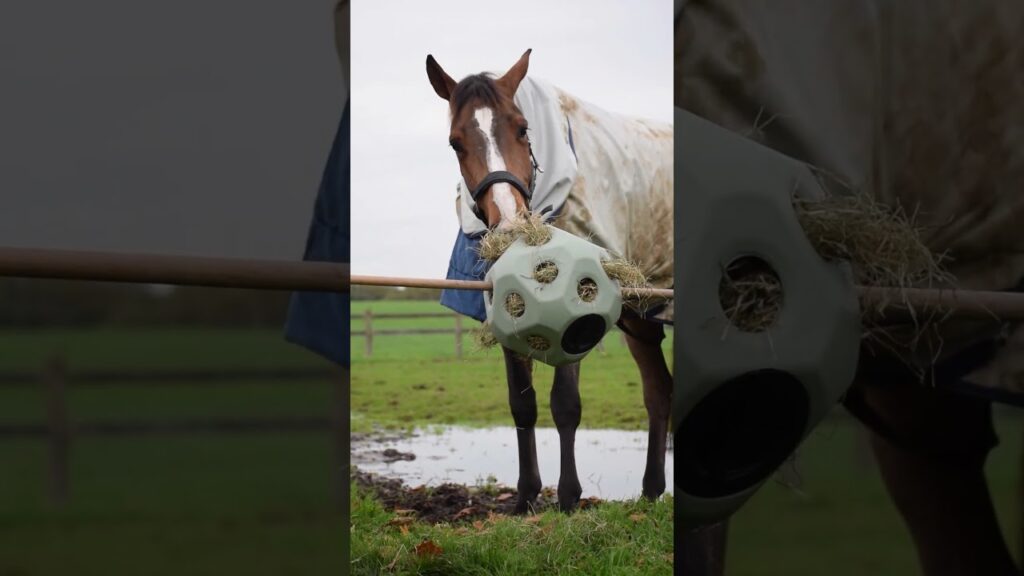 Excellent Horse Feed & Play Ball Groen - Slow Feeder Bal voor Paarden - afbeelding 2