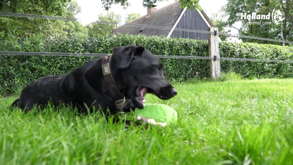 Fuzzle met pieper Konijntje - 23 cm - afbeelding 3