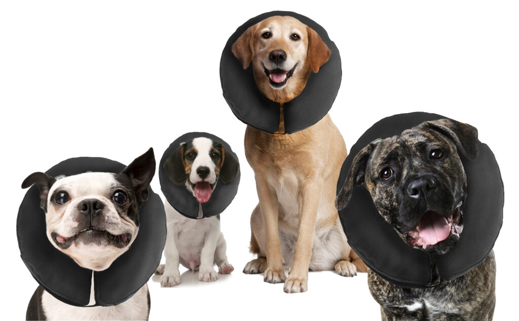 Zenpet ProCollar M - Comfortabele Herstel Kraag voor Honden - afbeelding 1