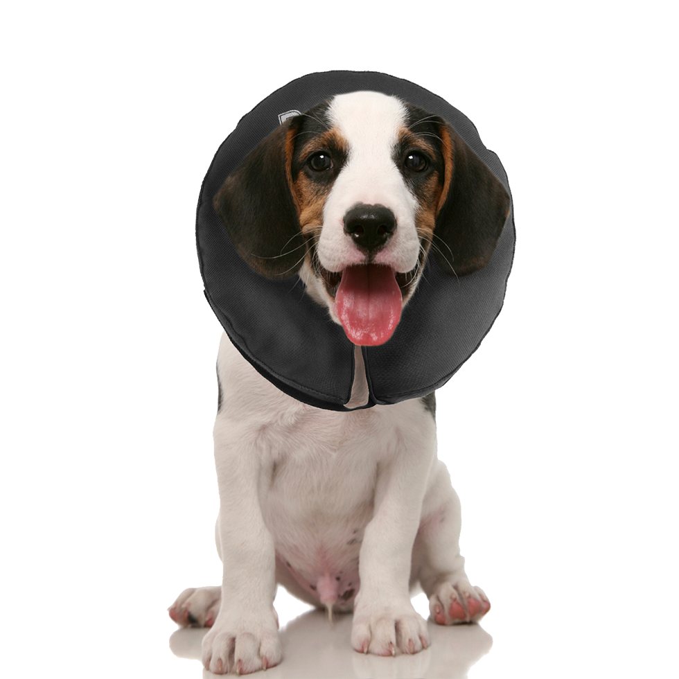 Zenpet ProCollar XS - Comfortabele Herstel Kraag voor Huisdieren - afbeelding 5