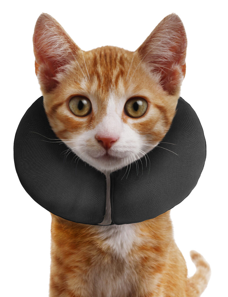 Zenpet ProCollar XS - Comfortabele Herstel Kraag voor Huisdieren - afbeelding 3