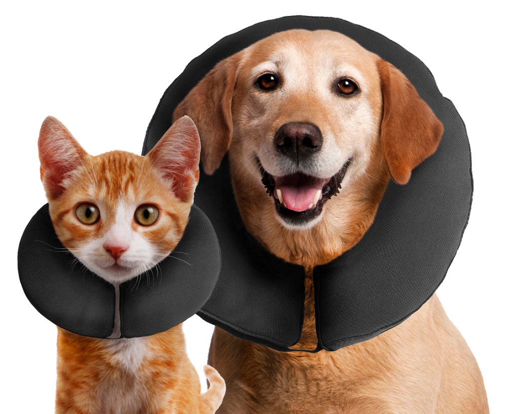 Zenpet ProCollar M - Comfortabele Herstel Kraag voor Honden - afbeelding 2