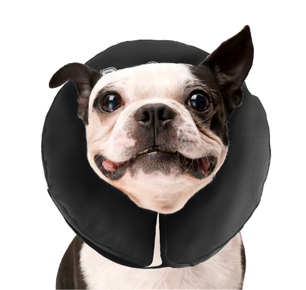 Zenpet ProCollar M - Comfortabele Herstel Kraag voor Honden - afbeelding 4