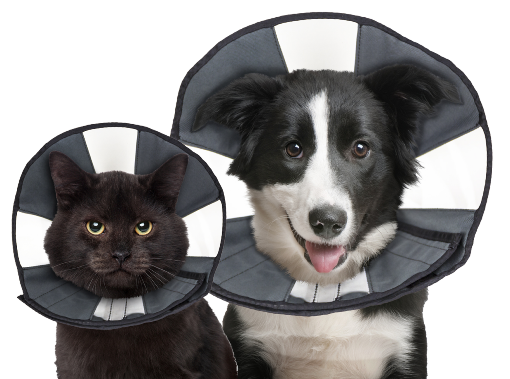 Zenpet Procone XL - Herstelhalsband voor huisdieren - afbeelding 4