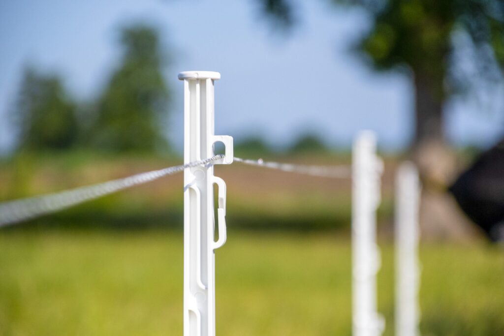 ZoneGuard Plus Afrasteringsdraad 3 mm 400 m - Wit met Donkergroen - afbeelding 3