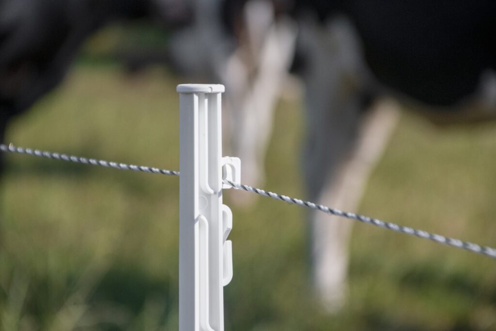 ZoneGuard Plus Afrasteringsdraad 3 mm 400 m - Wit met Donkergroen - afbeelding 5