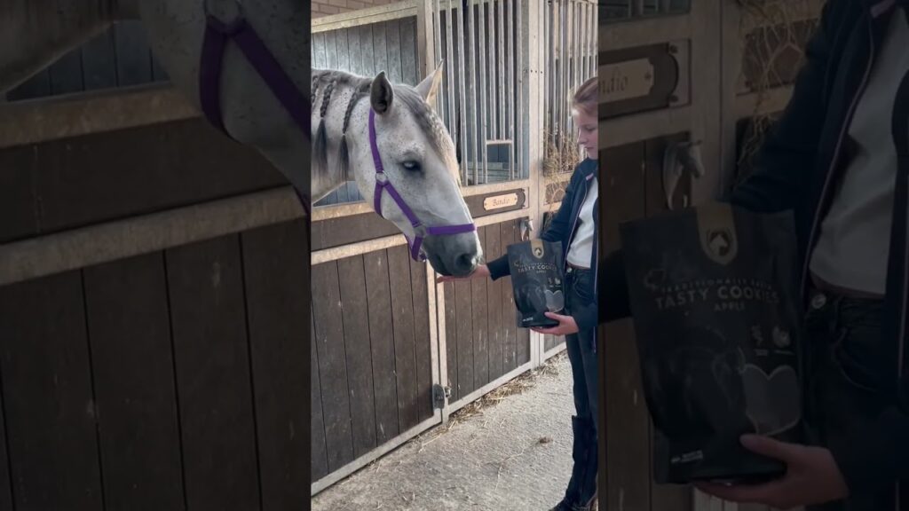 Excellent Horse Ambachtelijke Paardenkoekjes Appel 500 g - afbeelding 5