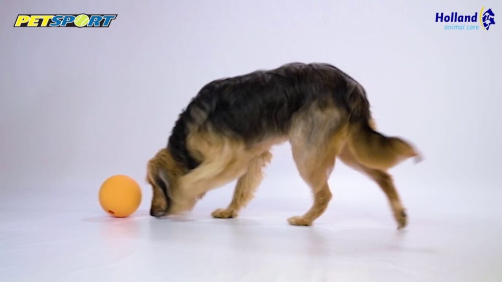 Petsport Kingpin Kibbler Zwart - Speelgoed voor Honden - afbeelding 2