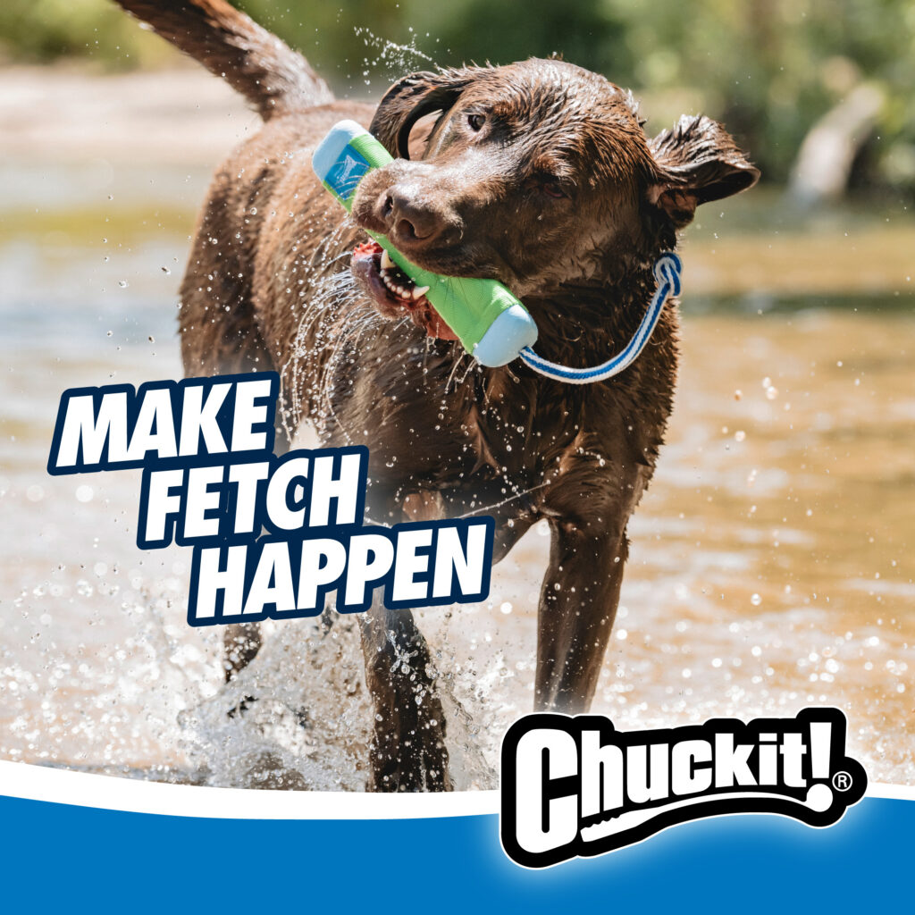 Chuckit! Amphibious Bumper M - Speelgoed voor Hond - Ø 5 cm x 25 cm - afbeelding 4