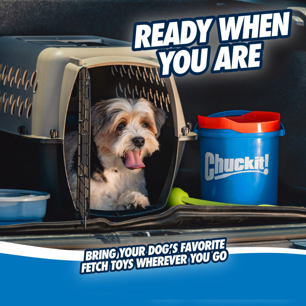 Chuckit! Bucket met 8 medium ballen - afbeelding 4