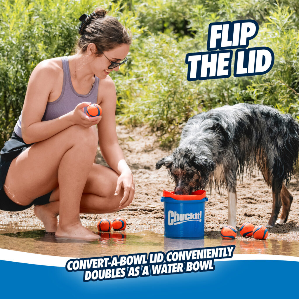 Chuckit! Bucket met 8 medium ballen - afbeelding 6