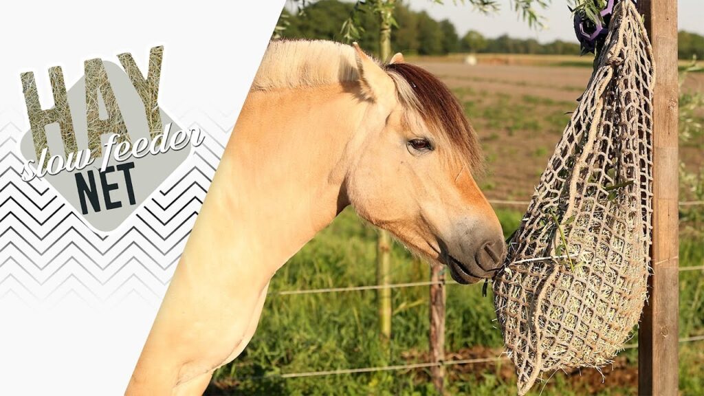 Hay Slow Feeder Net Ronde Baal - Hooinet voor Paarden - afbeelding 3