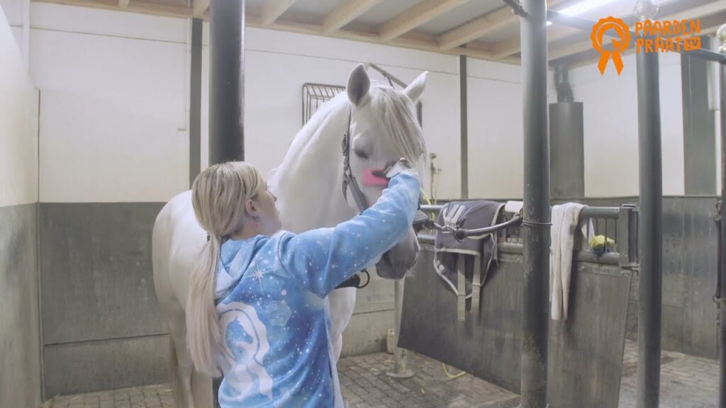 Paardenpraat Grooming Brush Roze M - Multifunctionele Borstel voor Paarden - afbeelding 2