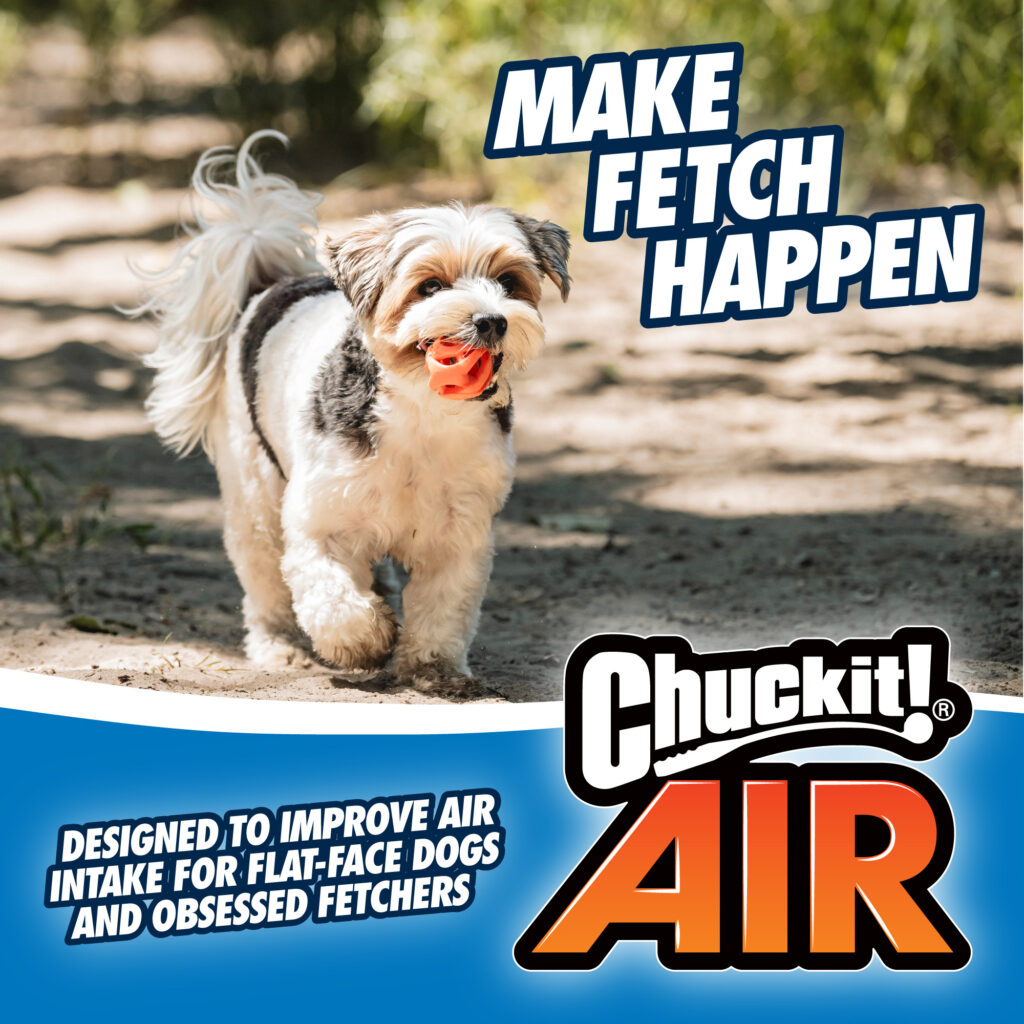 Chuckit! Air Fetch Ball L - Speelgoed voor Honden - afbeelding 5