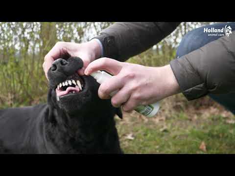 Excellent Pets Dental Oral Spray 150 ml voor honden en katten - afbeelding 2