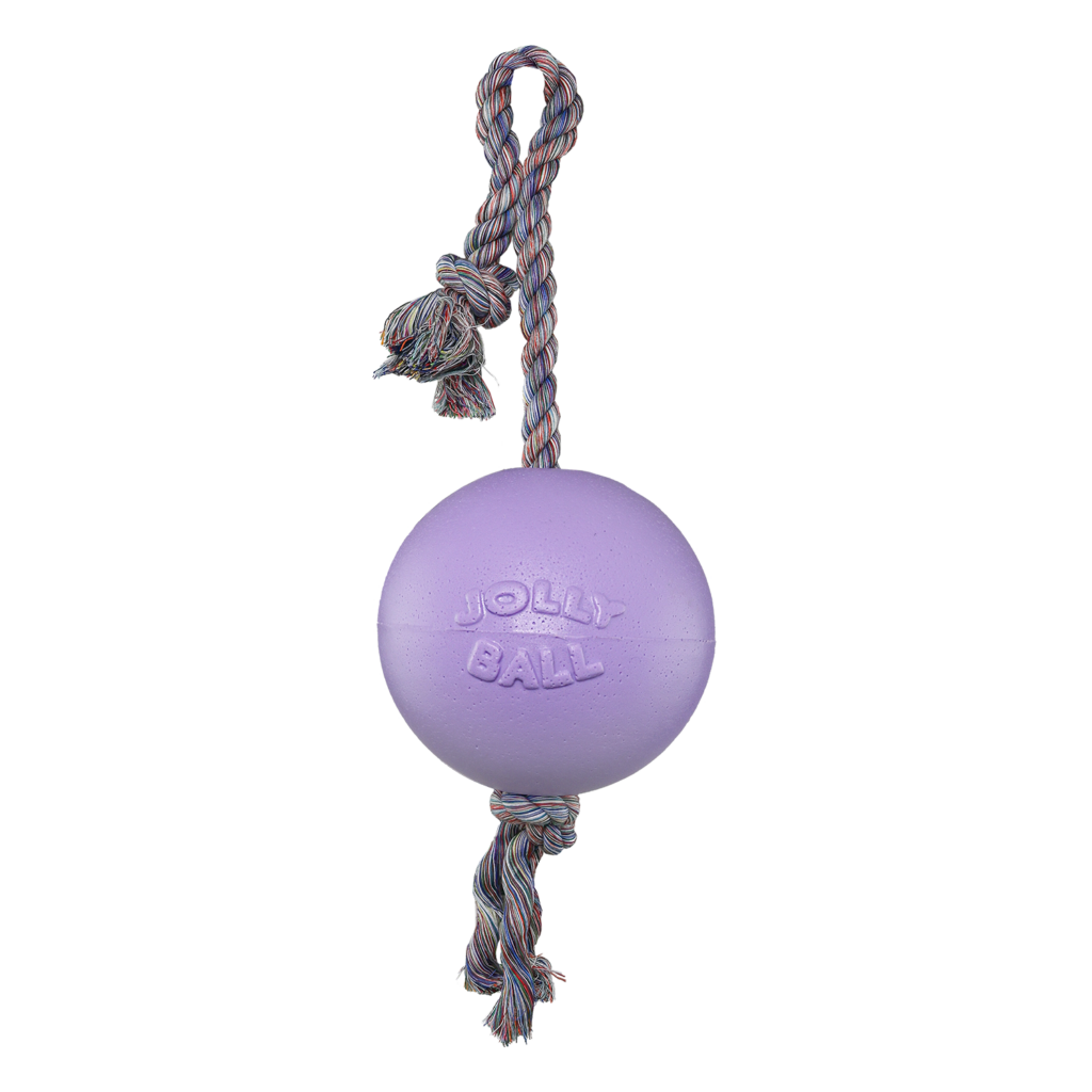 Jolly Romp-n-Roll Lichtpaars S (10 cm) - Speelgoed voor Honden - afbeelding 1
