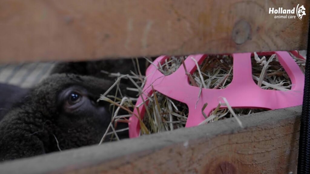 Hay Slow Feeder Fun & Flex Groen - Langzaam Voeren voor Paarden - afbeelding 3