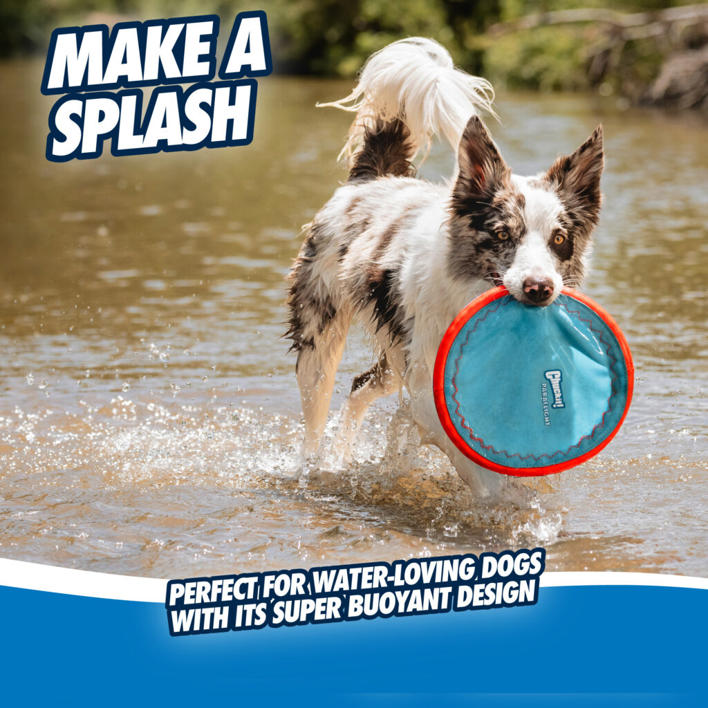 Chuckit! Paraflight S - Speelgoed voor Apporteren op Land en Water - afbeelding 3