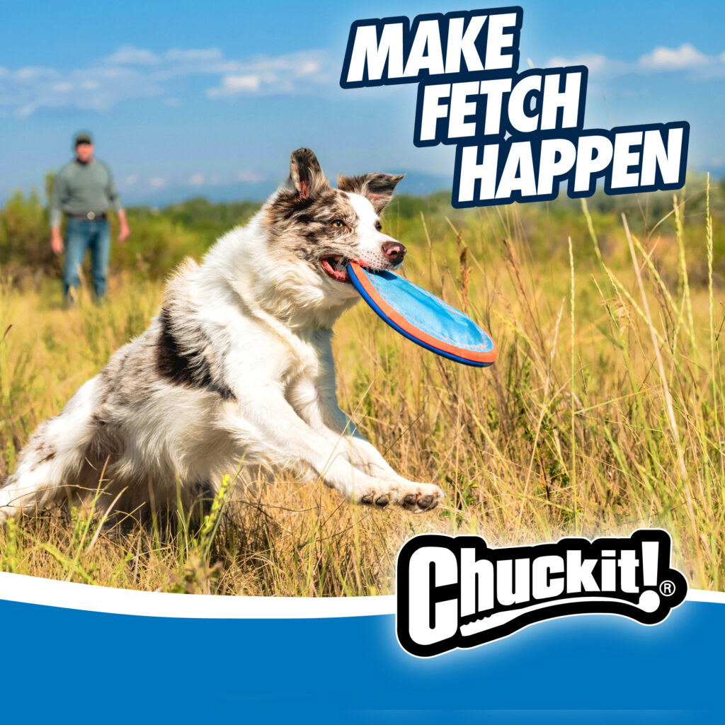 Chuckit! Paraflight S - Speelgoed voor Apporteren op Land en Water - afbeelding 6