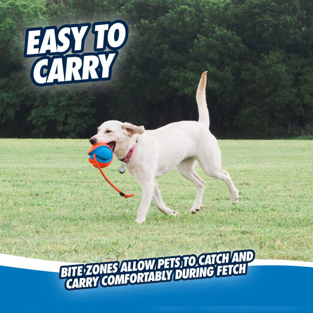 Chuckit! Rope Fetch - Speelgoed voor Honden - 13 cm - afbeelding 5