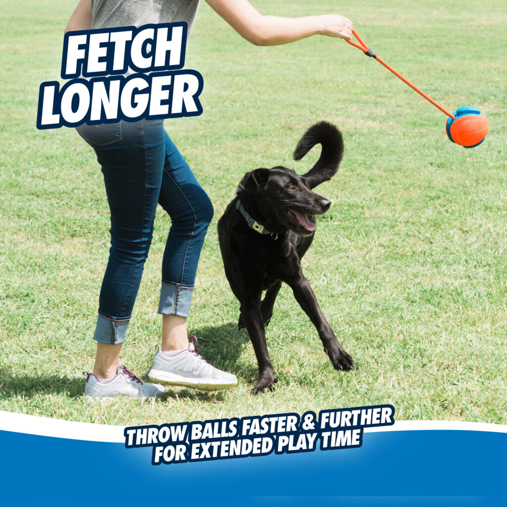 Chuckit! Rope Fetch - Speelgoed voor Honden - 13 cm - afbeelding 6