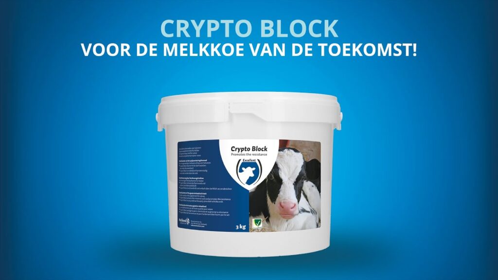 Excellent Crypto Block 4,8 kg - Ondersteunt de weerstand van kalveren en lammeren - afbeelding 2
