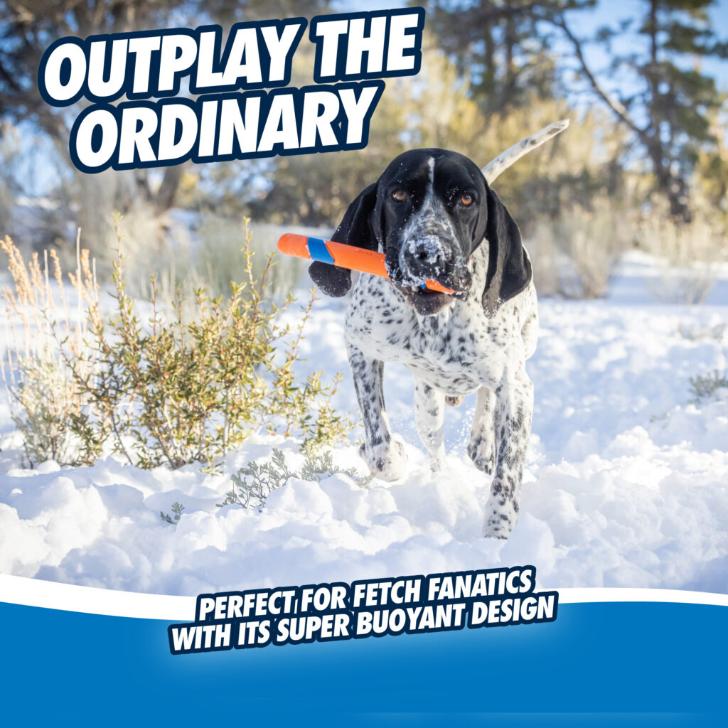 Chuckit! Ultra Fetch Stick 28 cm - Speelgoed voor Honden - afbeelding 5