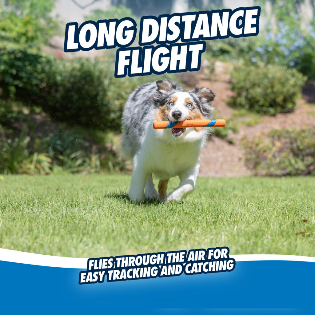Chuckit! Ultra Fetch Stick 28 cm - Speelgoed voor Honden - afbeelding 6