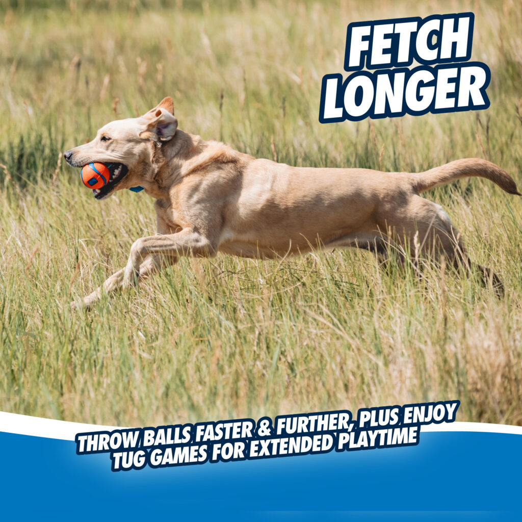 Chuckit! Ultra Tug L - Speelgoed voor Honden met Lint en Tennisbal - afbeelding 4
