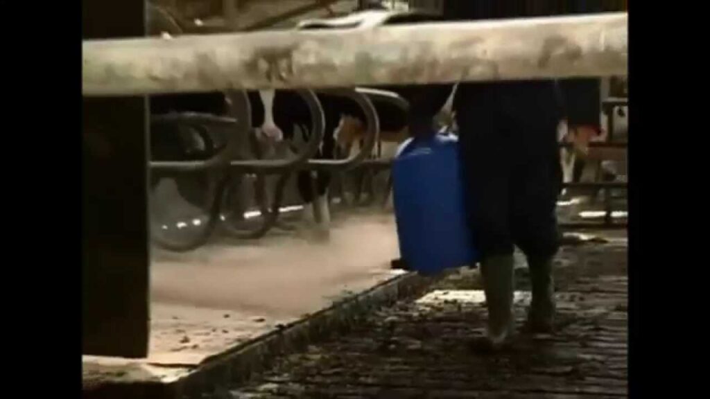 Vink Poederstrooier 12 liter voor ligboxen en kalverboxen - afbeelding 4