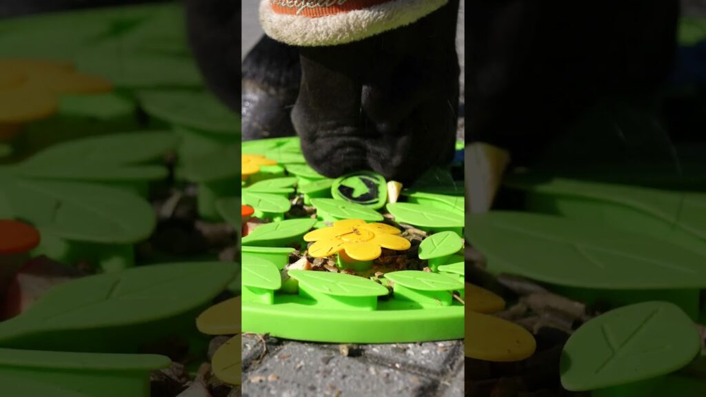 Excellent Horse Snuffle Mat Flower Power - Voermat voor Paarden - afbeelding 6