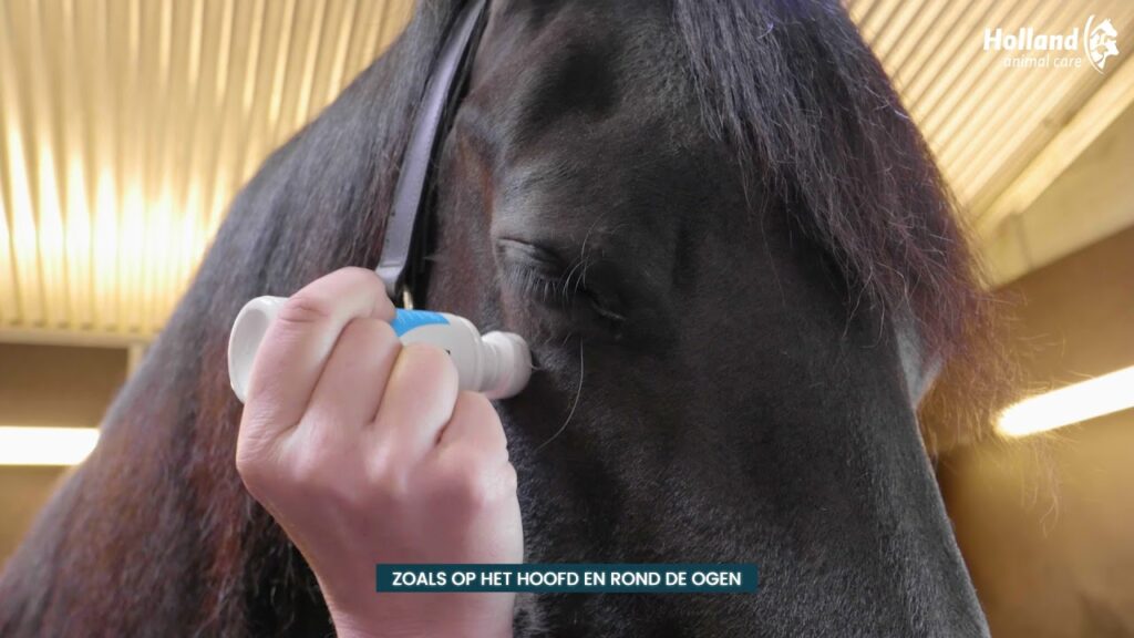 Excellent Horse Shield Spons-On 75 g - Neutraliseert zweetgeur - afbeelding 2