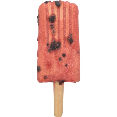 Trixie Ice Pop Rood 70x55 gr - Hondensnack in ijsvorm